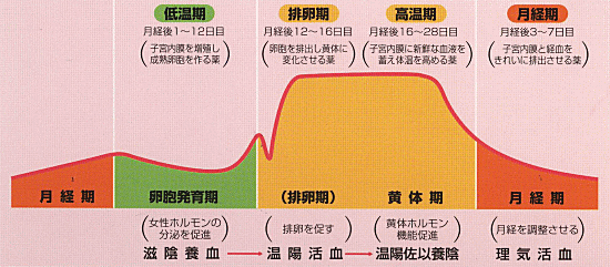 図4