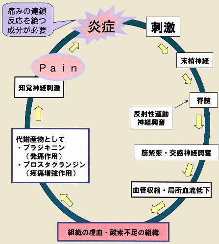 痛みの悪循環