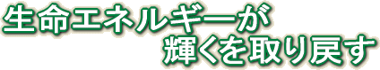 生命エネルギーが輝きを取り戻す